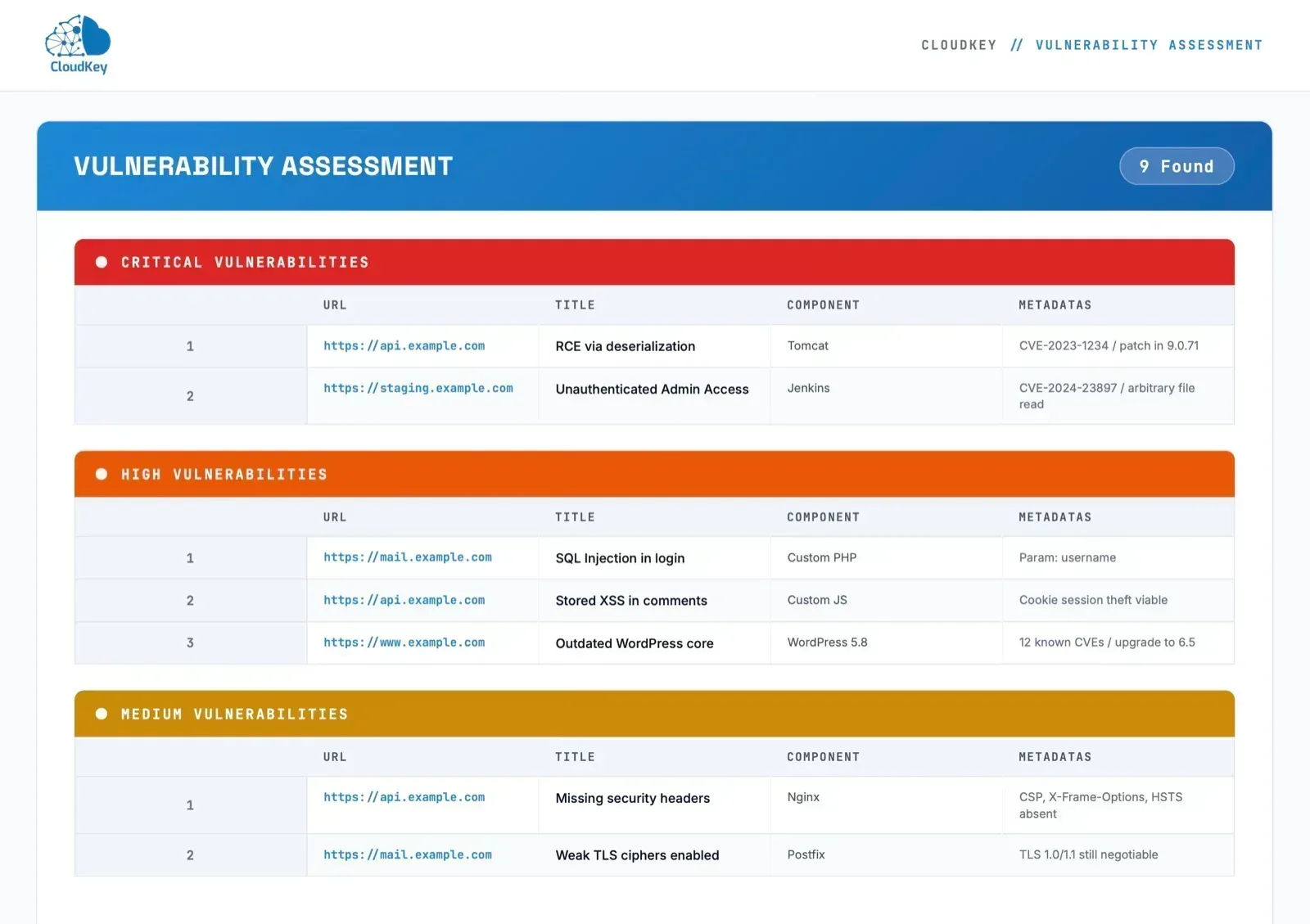 Sample report of vulnerability findings grouped by critical, high and medium severity with CVE metadata, prepared for example.com